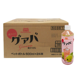 okibot-gawa500-24