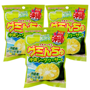 okiko-guminchu-si-3