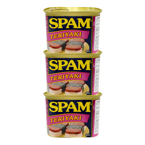 spam-teri-3