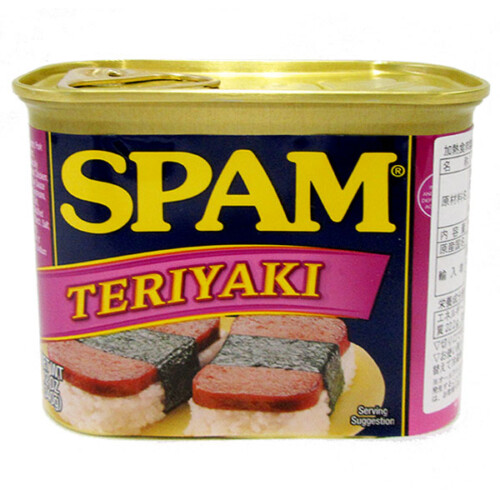 spam-teri