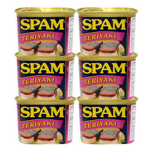 spam-teri-6