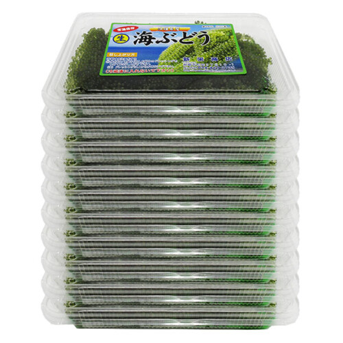kinau60g-10