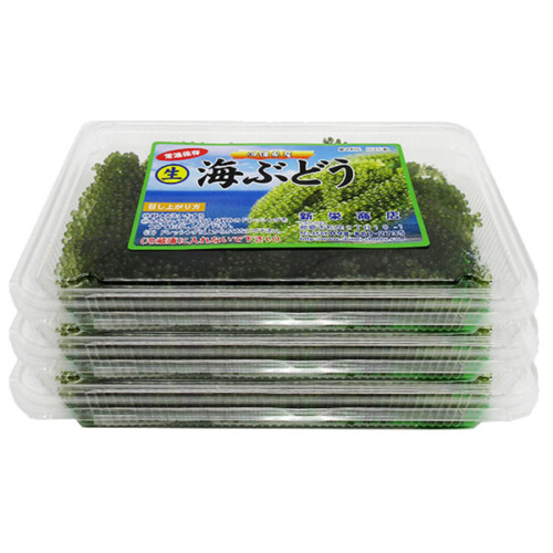 kinau60g-3