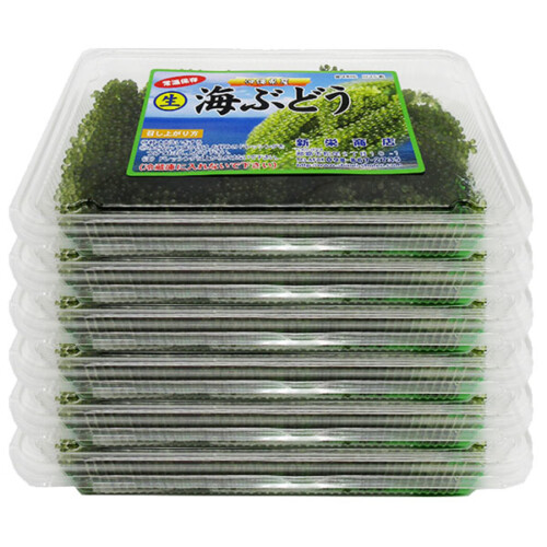 kinau60g-6