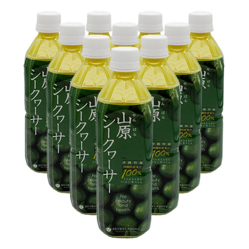 ruy-ya500ml-10