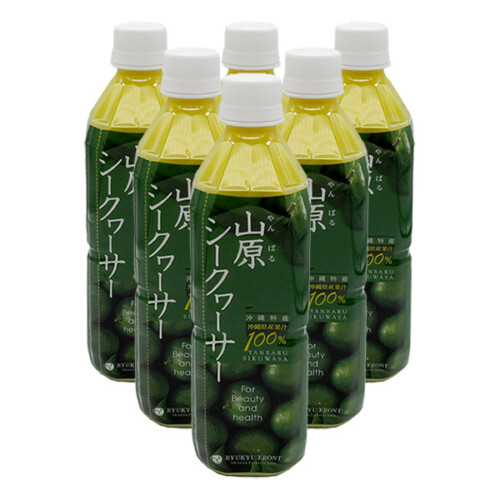 ruy-ya500ml-6