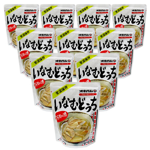 oki-ina300g-10