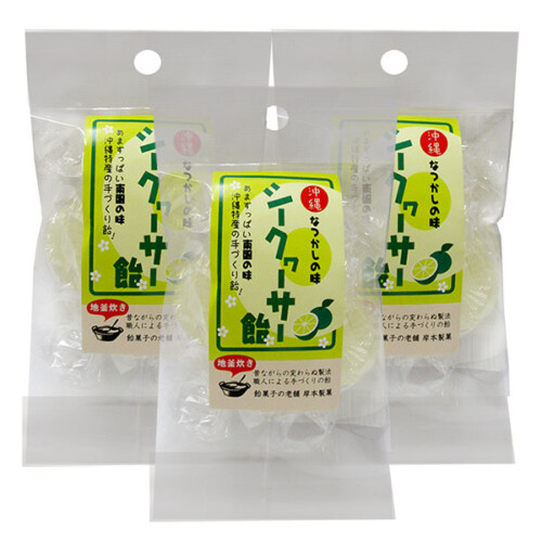 kisi-si30g-3
